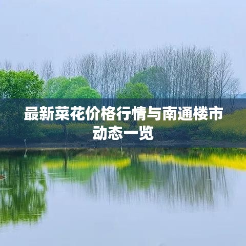 最新菜花价格行情与南通楼市动态一览