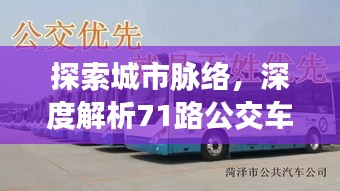 探索城市脉络,深度解析71路公交车实时运营与需求价格弹性
