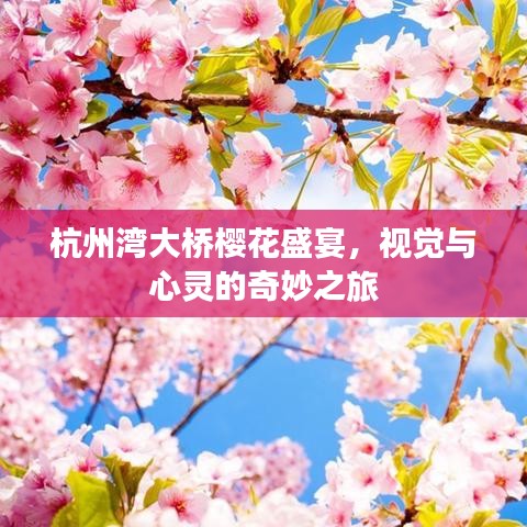 杭州湾大桥樱花盛宴,视觉与心灵的奇妙之旅