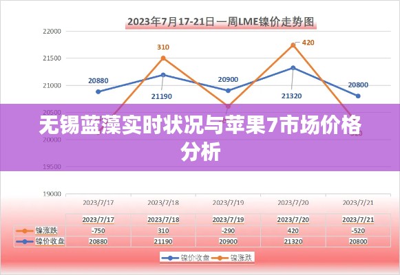 无锡蓝藻实时状况与苹果7市场价格分析