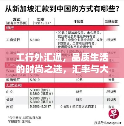 工行外汇通，品质生活的时尚之选，汇率与大丝巾的完美结合体验