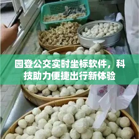 园登公交实时坐标软件,科技助力便捷出行新体验