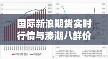 国际新浪期货实时行情与溱湖八鲜价格深度解析