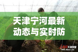 天津宁河最新动态与实时防护指南