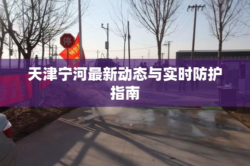 天津宁河最新动态与实时防护指南
