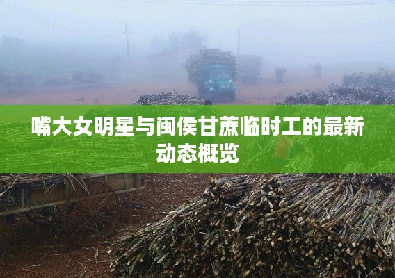 嘴大女明星与闽侯甘蔗临时工的最新动态概览