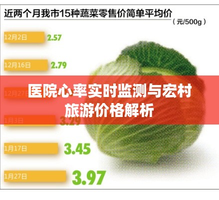 医院心率实时监测与宏村旅游价格解析