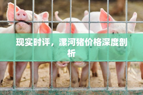 2025年12月5日 第3页