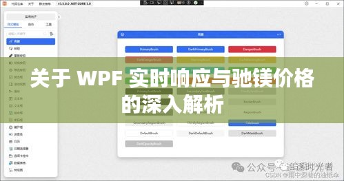 关于 WPF 实时响应与驰镁价格的深入解析