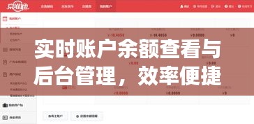 实时账户余额查看与后台管理,效率便捷性的双重提升
