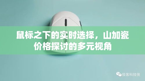 鼠标之下的实时选择,山加瓷价格探讨的多元视角