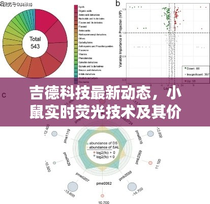 吉德科技最新动态,小鼠实时荧光技术及其价格研究综述