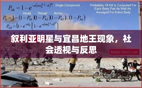 叙利亚明星与宜昌地王现象,社会透视与反思