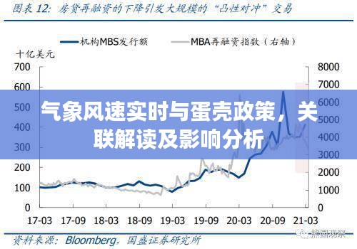 气象风速实时与蛋壳政策,关联解读及影响分析