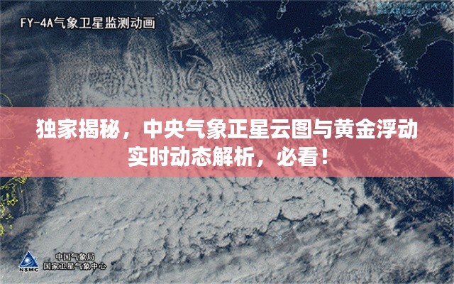 独家揭秘,中央气象正星云图与黄金浮动实时动态解析,必看!