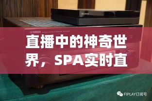 直播中的神奇世界,SPA实时直播与封口机价格揭秘