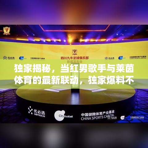 独家揭秘,当红男歌手与莱茵体育的最新联动,独家爆料不容错过!