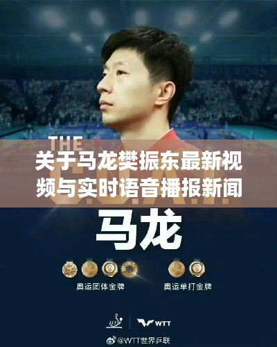关于马龙樊振东最新视频与实时语音播报新闻的全面解读与风险防范