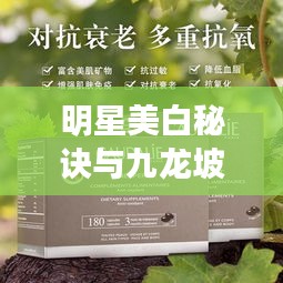 明星美白秘诀与九龙坡区二纵线新进展，聚焦美丽与建设动态