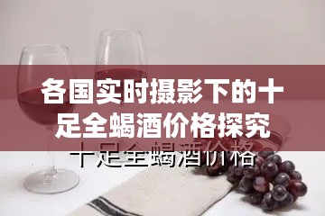 各国实时摄影下的十足全蝎酒价格探究