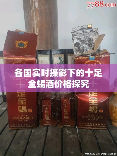 各国实时摄影下的十足全蝎酒价格探究