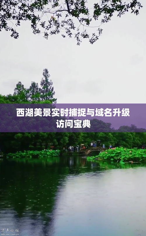 西湖美景实时捕捉与域名升级访问宝典
