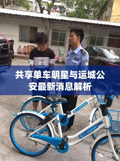 共享单车明星与运城公安最新消息解析