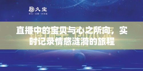 直播中的宝贝与心之所向,实时记录情感涟漪的旅程