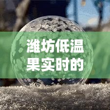 潍坊低温果实时的新鲜动态探讨