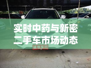 实时中药与新密二手车市场动态概览