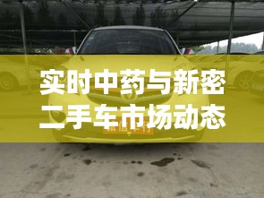 实时中药与新密二手车市场动态概览