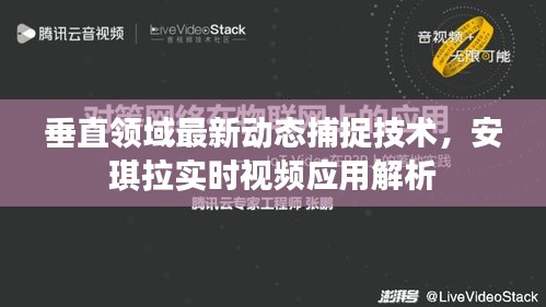 垂直领域最新动态捕捉技术，安琪拉实时视频应用解析