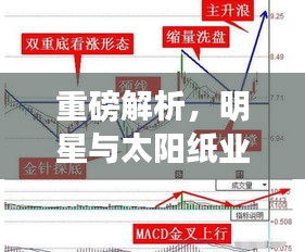 重磅解析,明星与太阳纸业股票走势最新动向解析(412事件后)