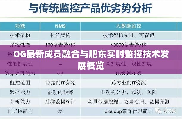 OG最新成员融合与肥东实时监控技术发展概览