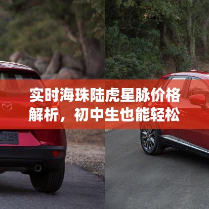 实时海珠陆虎星脉价格解析,初中生也能轻松了解的购车指南