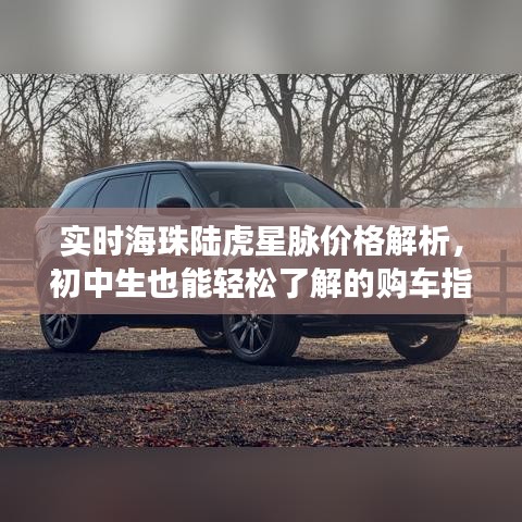 实时海珠陆虎星脉价格解析,初中生也能轻松了解的购车指南
