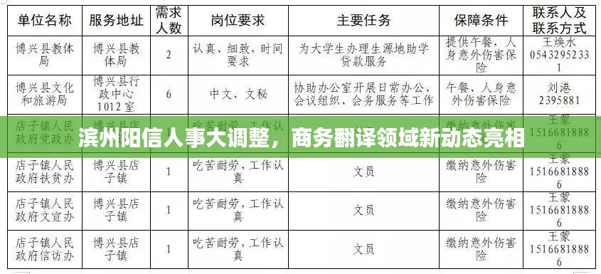 滨州阳信人事大调整,商务翻译领域新动态亮相