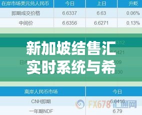 新加坡结售汇实时系统与希微最新版,利弊分析与平衡探讨