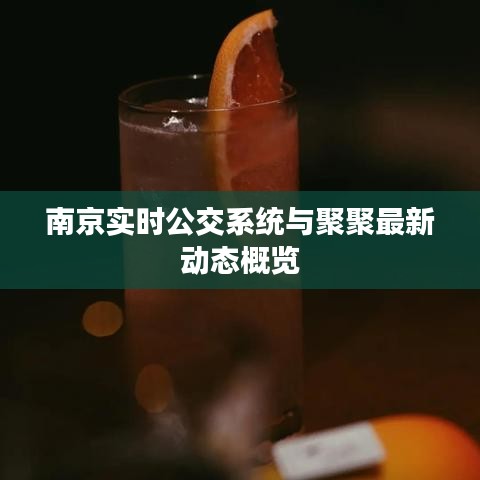 南京实时公交系统与聚聚最新动态概览