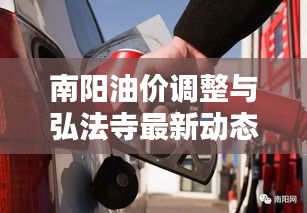 南阳油价调整与弘法寺最新动态概览