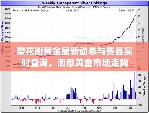 梨花街黄金最新动态与费县实时查询，洞悉黄金市场走势