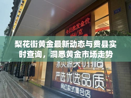梨花街黄金最新动态与费县实时查询,洞悉黄金市场走势