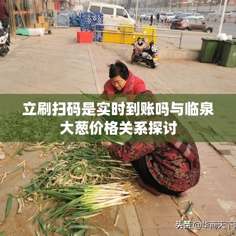 立刷扫码是实时到账吗与临泉大葱价格关系探讨