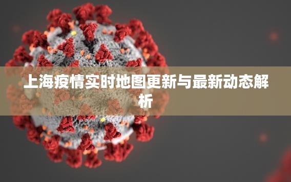 上海疫情实时地图更新与最新动态解析