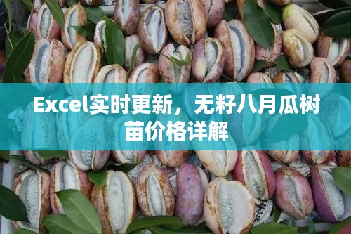 Excel实时更新,无籽八月瓜树苗价格详解