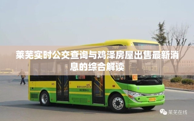 莱芜实时公交查询与鸡泽房屋出售最新消息的综合解读