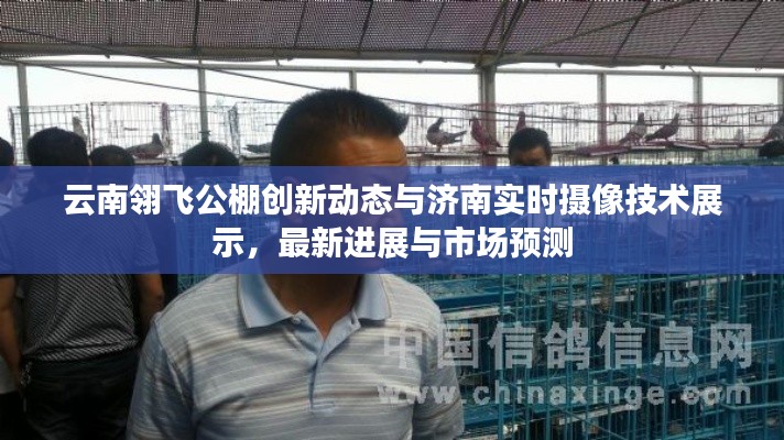 云南翎飞公棚创新动态与济南实时摄像技术展示,最新进展与市场预测