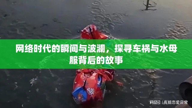 网络时代的瞬间与波澜,探寻车祸与水母服背后的故事