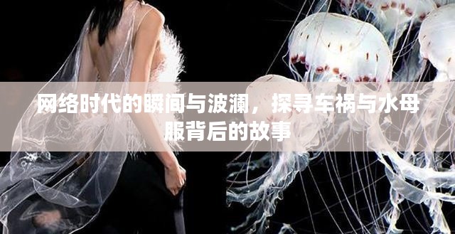 网络时代的瞬间与波澜,探寻车祸与水母服背后的故事