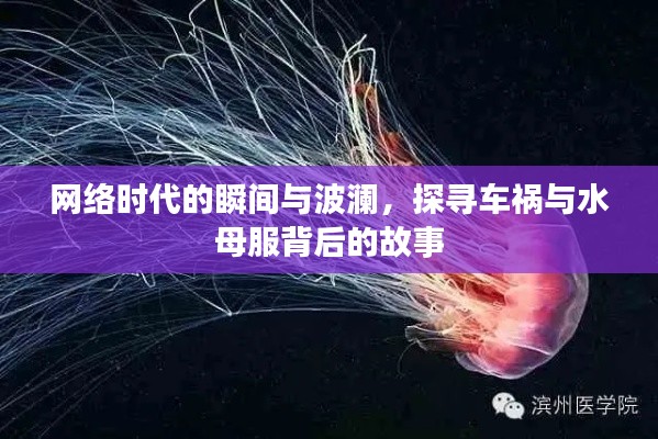 网络时代的瞬间与波澜,探寻车祸与水母服背后的故事